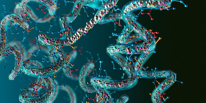 The role of enzymes in the emerging sustainable food system